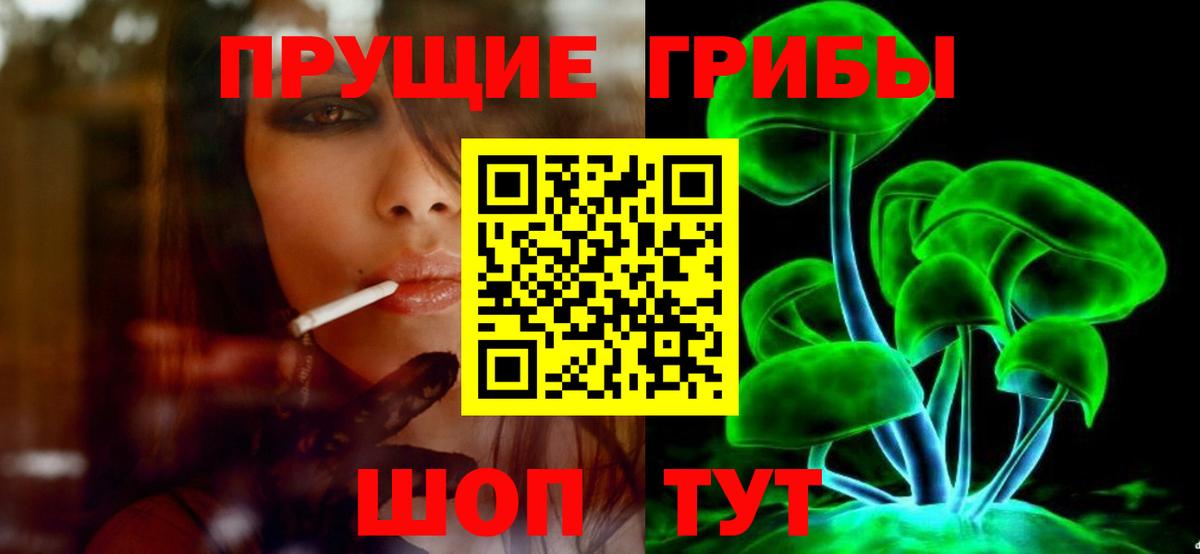 Галлюциногенные грибы Psilocybe Рязань