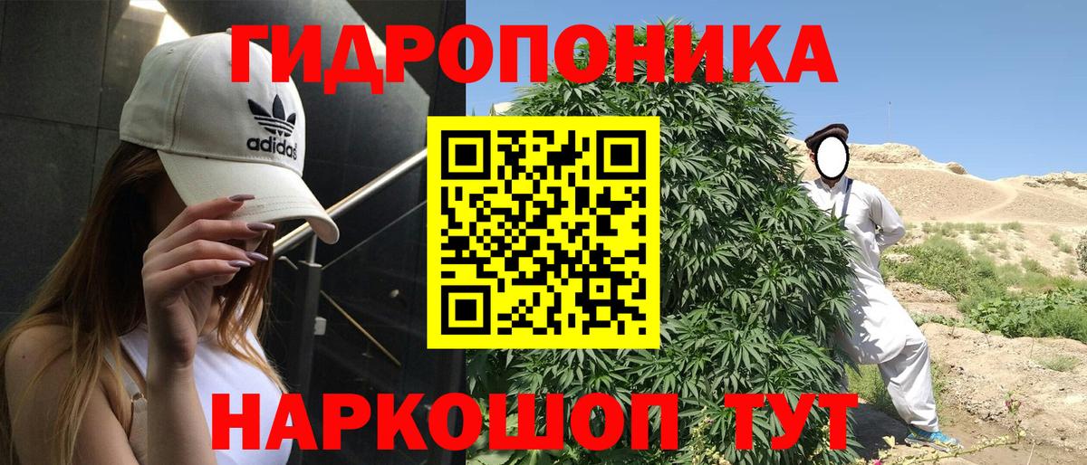 Конопля ГИДРОПОН  Вход с VPN  Рязань  Каннабис Ganja  Бошки Шишки MAZAR  Шишки марихуана AK-47 
